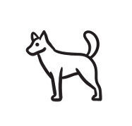 What is CATTx?