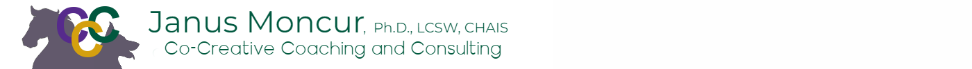 Co-Creative Coaching, LLC